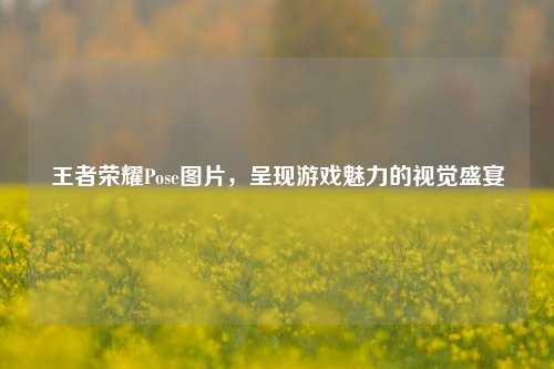 王者荣耀Pose图片,呈现游戏魅力的视觉盛宴
