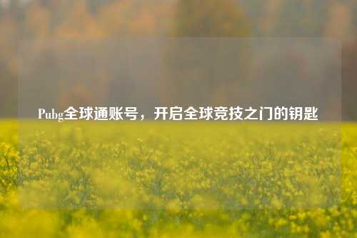 Pubg全球通账号,开启全球竞技之门的钥匙