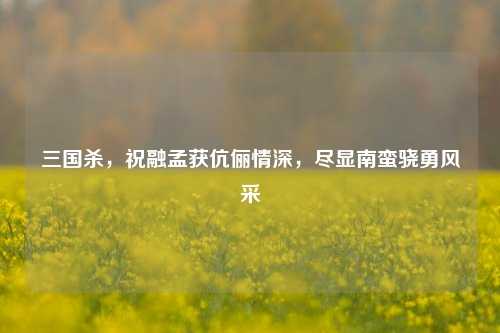 三国杀,祝融孟获伉俪情深,尽显南蛮骁勇风采