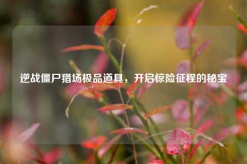 逆战僵尸猎场极品道具,开启惊险征程的秘宝