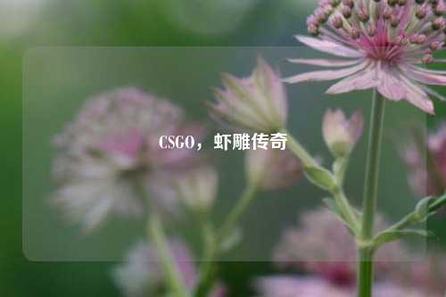 CSGO,虾雕传奇
