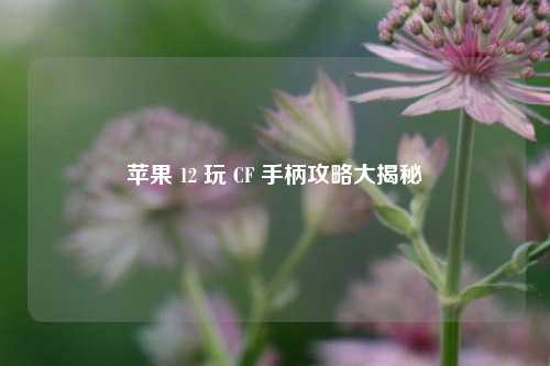 苹果 12 玩 CF 手柄攻略大揭秘