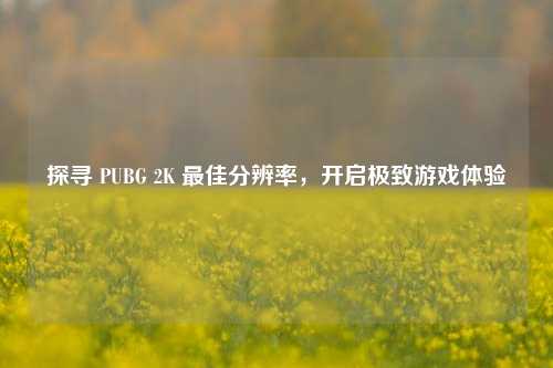探寻 PUBG 2K 更佳分辨率,开启极致游戏体验