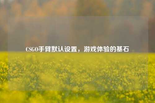 CSGO手臂默认设置,游戏体验的基石