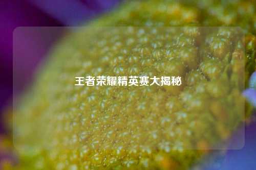 王者荣耀精英赛大揭秘