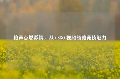 枪声点燃***,从 CSGO 视频领略竞技魅力