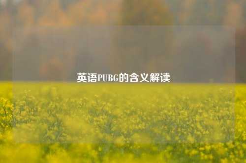 英语PUBG的含义解读