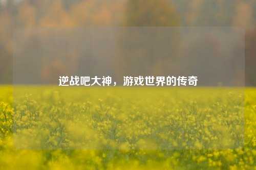 逆战吧大神,游戏世界的传奇