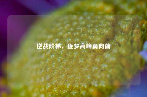 逆战阶梯,逐梦高峰勇向前