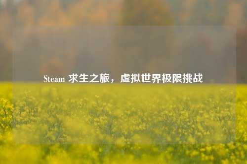 Steam 求生之旅,虚拟世界极限挑战