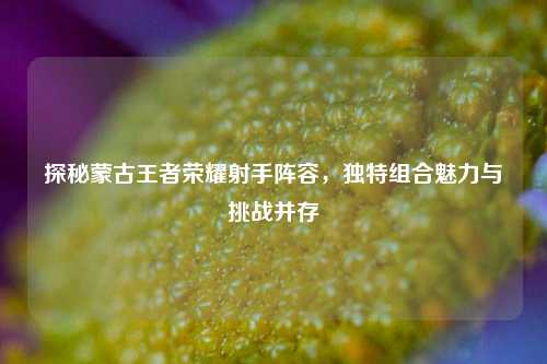 探秘蒙古王者荣耀射手阵容,独特组合魅力与挑战并存