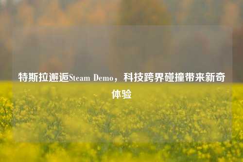 特斯拉邂逅Steam Demo,科技跨界碰撞带来新奇体验
