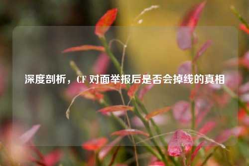 深度剖析,CF 对面举报后是否会掉线的真相