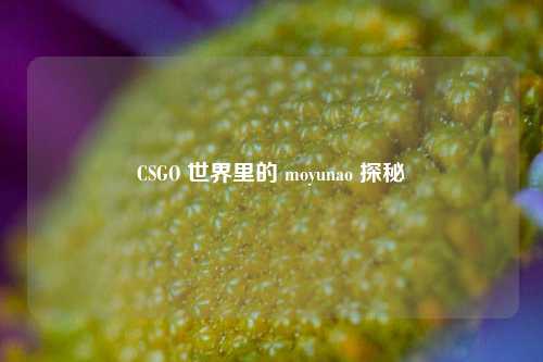 CSGO 世界里的 moyunao 探秘