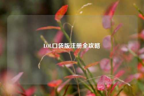 LOL口袋版注册全攻略