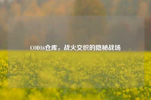 COD16仓库,战火交织的隐秘战场