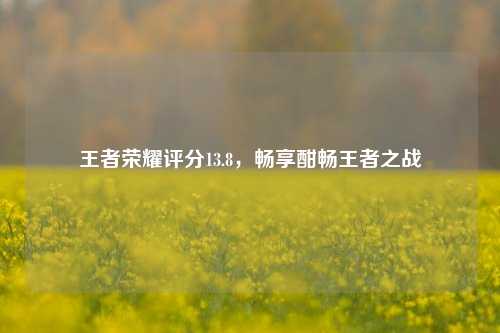 王者荣耀评分13.8,畅享酣畅王者之战
