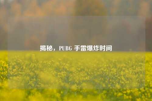 揭秘,PUBG 手雷爆炸时间