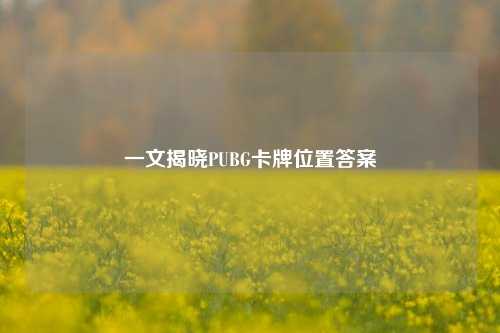 一文揭晓PUBG卡牌位置答案