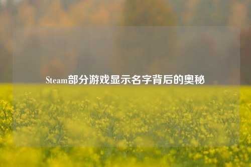 Steam部分游戏显示名字背后的奥秘