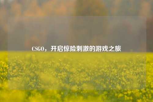 CSGO,开启惊险***的游戏之旅