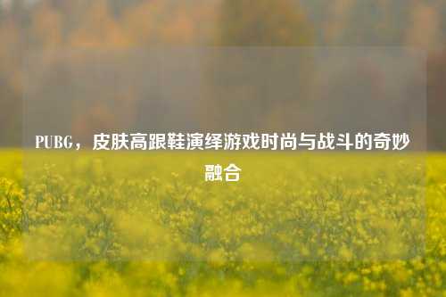 PUBG,皮肤高跟鞋演绎游戏时尚与战斗的奇妙融合