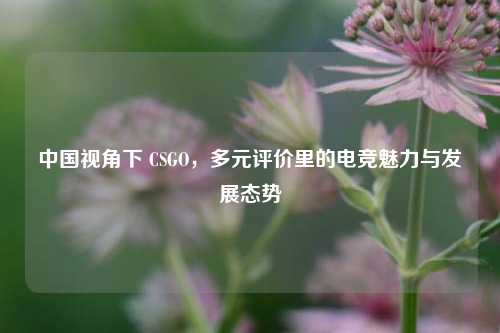 中国视角下 CSGO,多元评价里的电竞魅力与发展态势