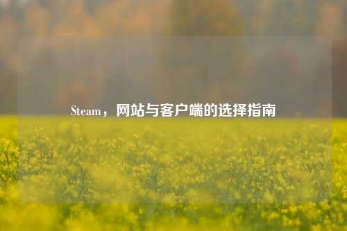 Steam,网站与客户端的选择指南