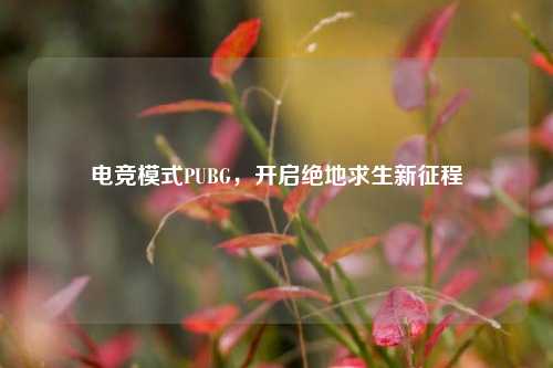 电竞模式PUBG,开启绝地求生新征程