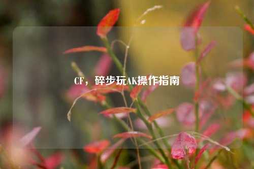 CF,碎步玩AK操作指南