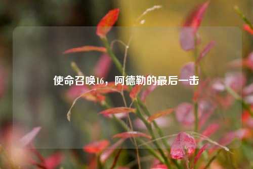 使命召唤16,阿德勒的最后一击