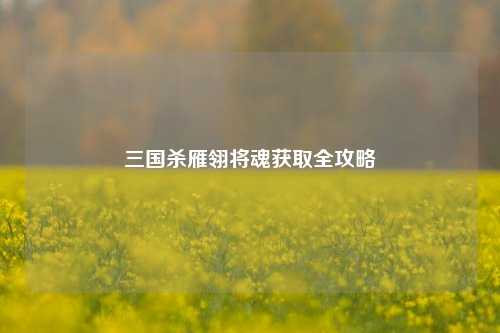 三国杀雁翎将魂获取全攻略