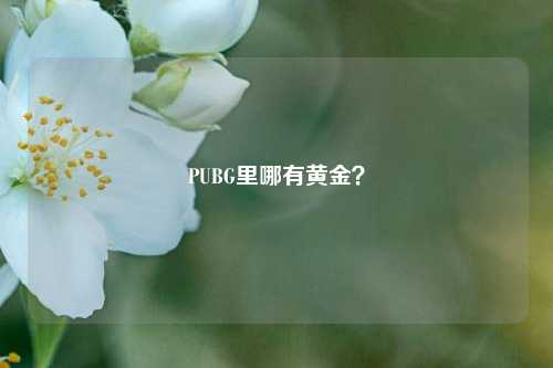 PUBG里哪有黄金?