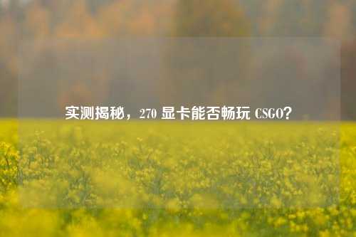 实测揭秘,270 显卡能否畅玩 CSGO?