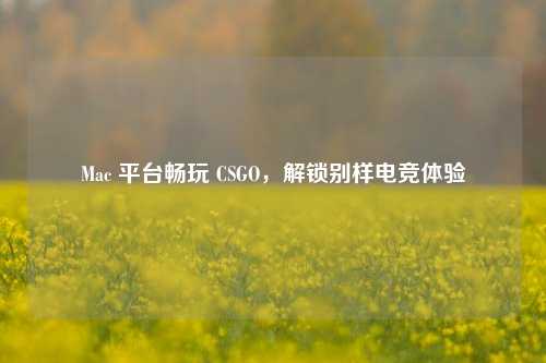Mac 平台畅玩 CSGO,解锁别样电竞体验