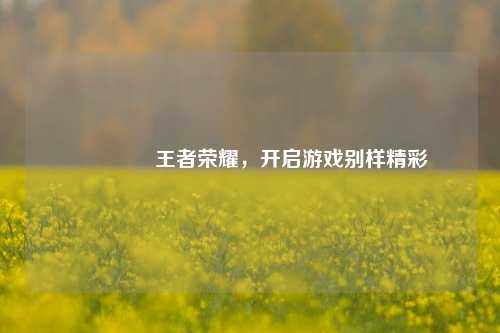 😎王者荣耀,开启游戏别样精彩