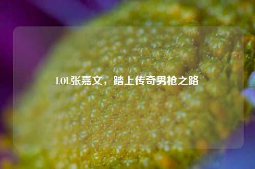 LOL张嘉文,踏上传奇男枪之路