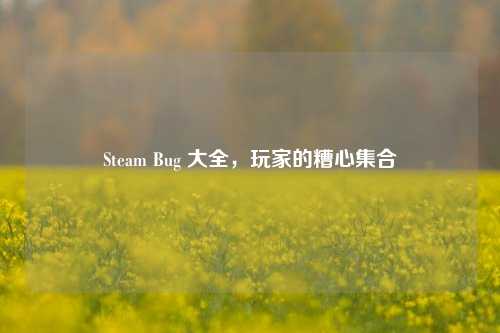 Steam Bug 大全,玩家的糟心***