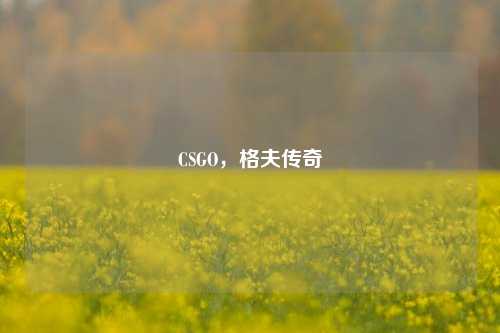 CSGO,格夫传奇