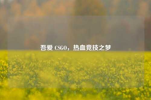 吾爱 CSGO,热血竞技之梦