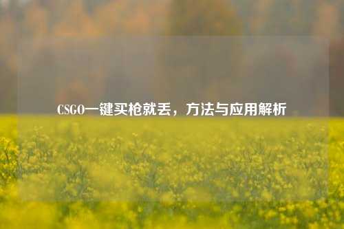 CSGO一键买枪就丢, 与应用解析