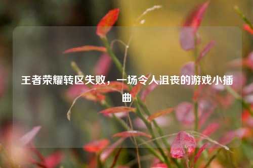 王者荣耀转区失败,一场令人沮丧的游戏小插曲