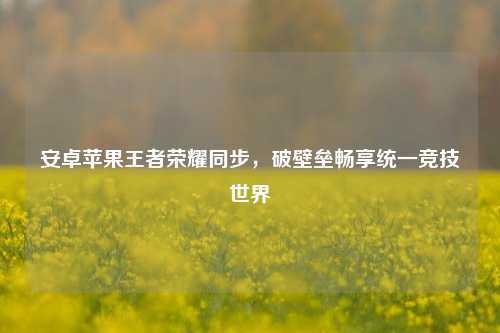 安卓苹果王者荣耀同步,破壁垒畅享统一竞技世界