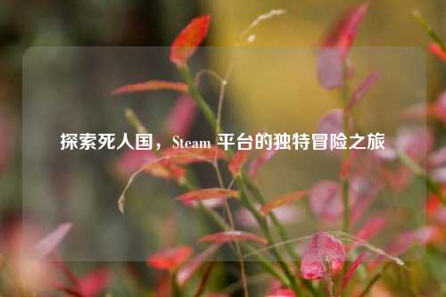 探索死人国,Steam 平台的独特冒险之旅