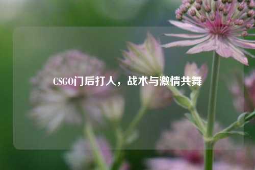 CSGO门后***,战术与***共舞