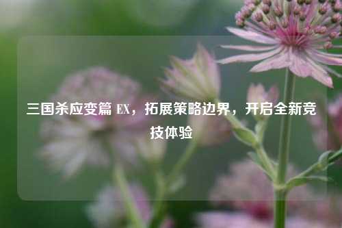 三国杀应变篇 EX,拓展策略边界,开启全新竞技体验