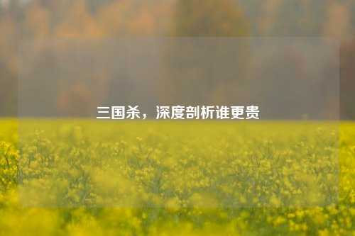 三国杀,深度剖析谁更贵