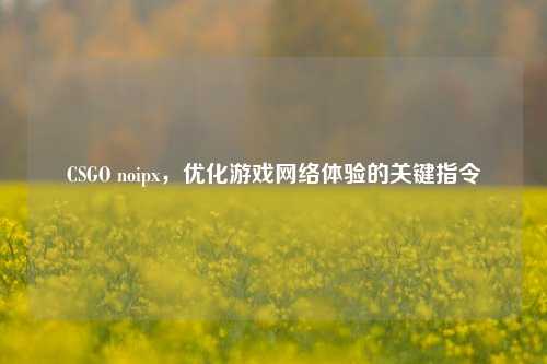 CSGO noipx,优化游戏 体验的关键指令