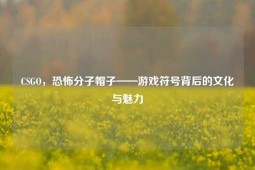 CSGO,***帽子——游戏符号背后的文化与魅力