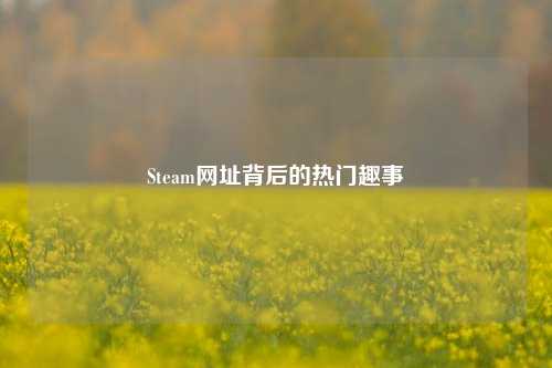 Steam网址背后的热门趣事